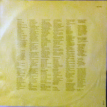 Load image into Gallery viewer, Lindsey Buckingham : Go Insane (LP, Album)
