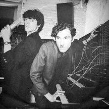 Load image into Gallery viewer, Sparks : No. 1 In Heaven (LP, Album)
