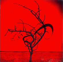 Load image into Gallery viewer, Corvus Corax : Cantus Buranus (CD, Album)
