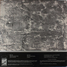 Load image into Gallery viewer, The Killer Whales (2) : The Killer Whales (12", EP)
