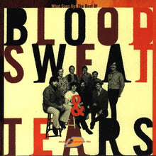 Load image into Gallery viewer, Blood, Sweat And Tears : What Goes Up! The Best Of Blood, Sweat &amp; Tears (2xCD, Comp)
