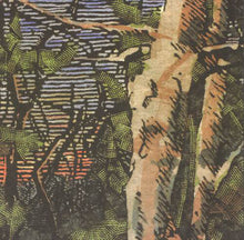 Load image into Gallery viewer, The Anomoanon : Asleep Many Years In The Wood (CD)
