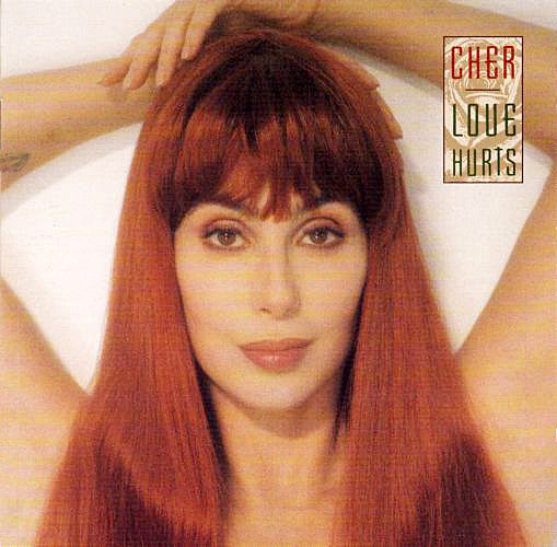 Cher : Love Hurts (CD, Album)