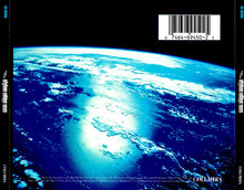 Load image into Gallery viewer, The Afghan Whigs : 1965 (CD, Album)
