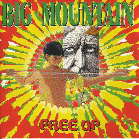 Big Mountain : Free Up (CD, Album)