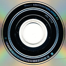 Load image into Gallery viewer, Peter Murphy : Love Hysteria (CD, Album, RE)
