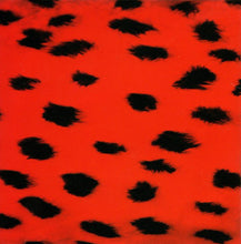 Load image into Gallery viewer, The Aloof : Seeking Pleasure (CD, Album)
