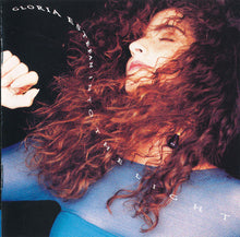 Load image into Gallery viewer, Gloria Estefan : Into The Light (CD, Album)
