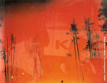 Load image into Gallery viewer, Flying Saucer Attack * Roy Montgomery : Goodbye / And Goodbye / The Whole Day (CD, EP)
